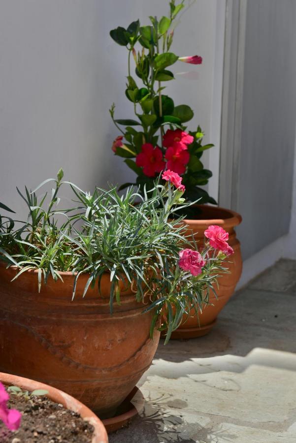 Feel At - Family House In Hydra Apartment